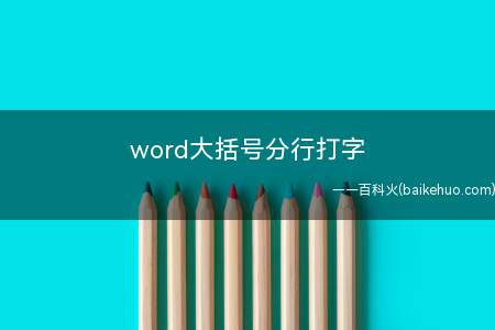 word大括号分行打字要怎样实现