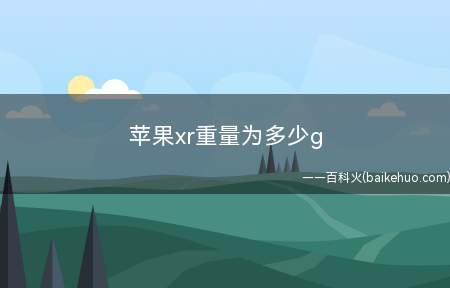 苹果xr重量为多少g