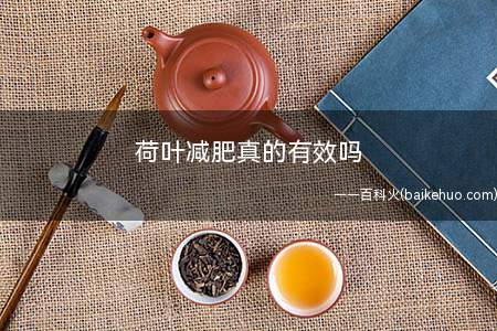 荷叶减肥真的有效吗