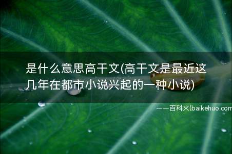 是什么意思高干文(高干文是最近这几年在都市小说兴起的一种小说)
