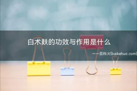 白术麸的功效与作用是什么(中药炒白的功效与其抑制子宫收缩作用)