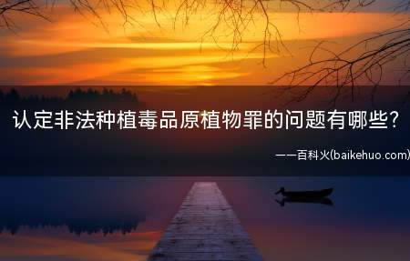 认定非法种植毒品原植物罪的问题有哪些?