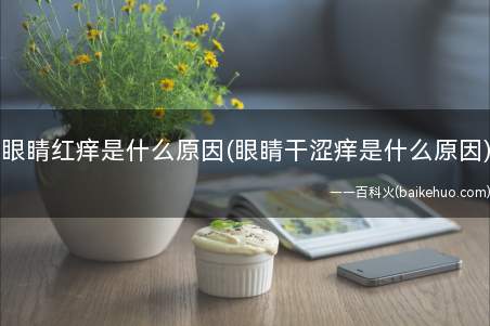 眼睛红痒是什么原因(眼睛干涩痒是什么原因)
