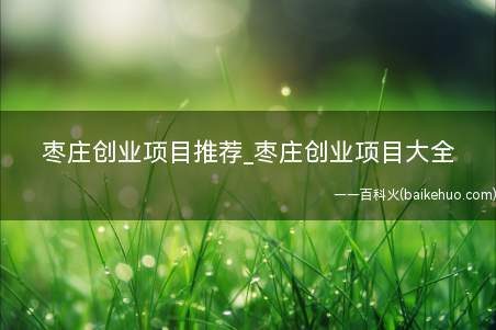 枣庄创业项目推荐_枣庄创业项目大全(枣庄新城风水曾经是本地人最津津乐道的话题)