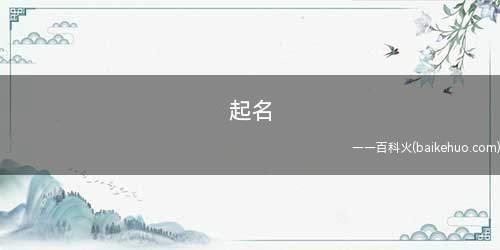 起名 打分_徐姓男孩取名大全