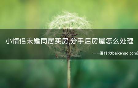 小情侣未婚同居买房,分手后房屋怎么处理
