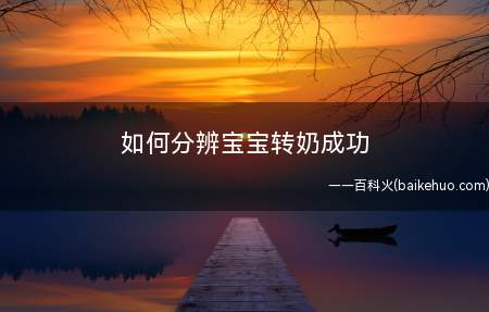 如何分辨宝宝转奶成功