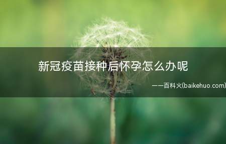 新冠疫苗接种后怀孕怎么办呢(新冠疫苗第一针有效果吗)