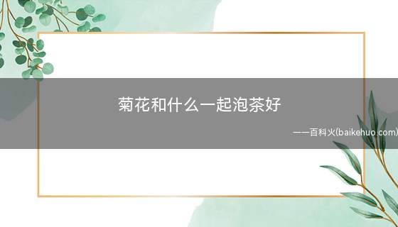 菊花和什么一起泡茶好