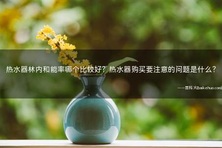 热水器林内和能率哪个比较好?热水器购买要注意的问题是什么?