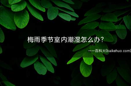 梅雨季节室内潮湿怎么办(梅雨时节室内湿润怎么办)
