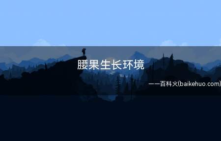 腰果生长环境