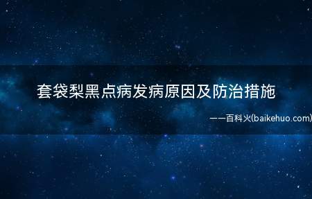 套袋梨黑点病发病原因及防治措施