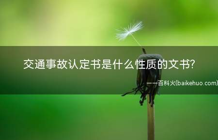 交通事故认定书是什么性质的文书?