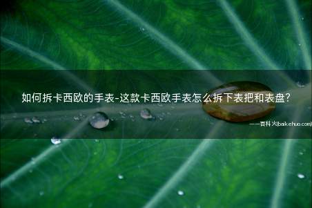如何拆卡西欧的手表-这款卡西欧手表怎么拆下表把和表盘?