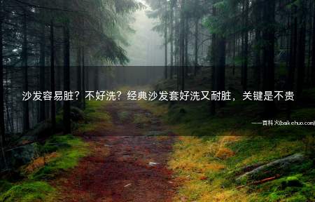 沙发容易脏?不好洗?经典沙发套好洗又耐脏,关键是不贵