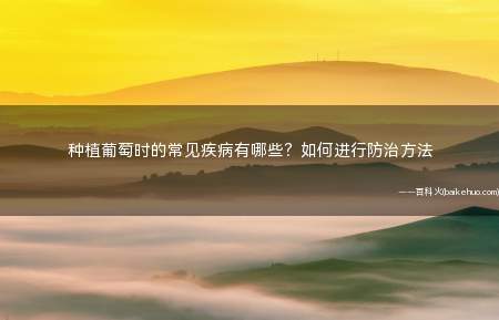 种植葡萄时的常见疾病有哪些?如何进行防治方法