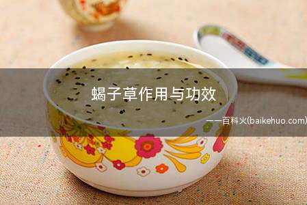 蝎子草作用与功效