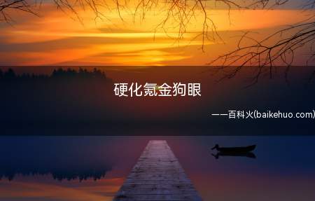 硬化氪金狗眼是什么梗(融合瞎了狗眼这一语句,常常有“这图要我新买的狗眼又瞎掉了”等)