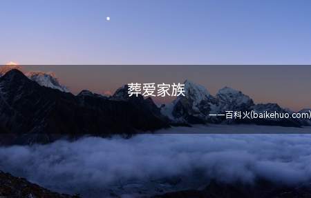 葬爱家族是什么意思(最开始出自劲舞团,是)