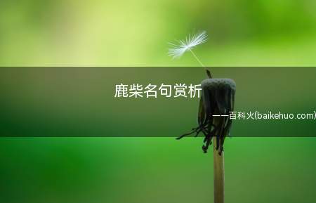 鹿柴名句赏析(空山不见人,但闻人语响)