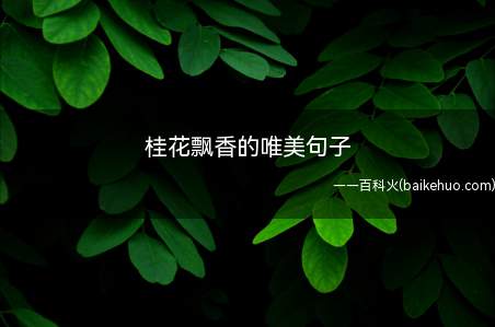 桂花飘香的唯美句子(浓香满衣袂 不知不觉中桂花开!)