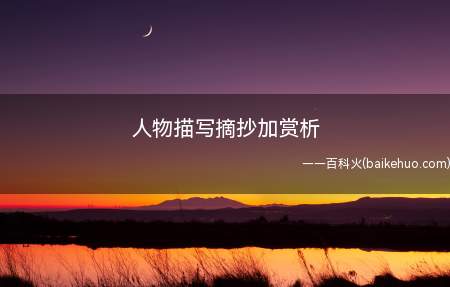 人物描写摘抄加赏析(描写人物的好句好词眼眉)