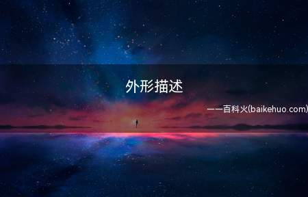 外形描述(相关猫的好句好句有哪些?)