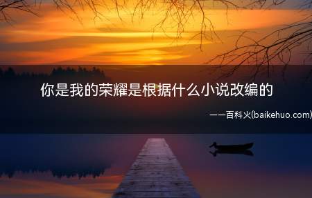 你是我的荣耀是根据什么小说改编的(你是我的荣耀原著小说是什么 美貌流量女明星和学神级航天工程师)