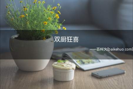 双厨狂喜什么梗是什么意思(双厨狂喜哪些梗什么意思)