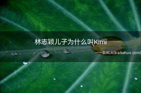 林志颖儿子为什么叫Kimi