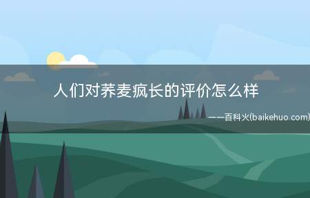 人们对荞麦疯长的评价怎么样