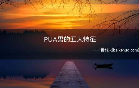 PUA男的五大特征(PUA男的五大特征 怎么分辨pua男)