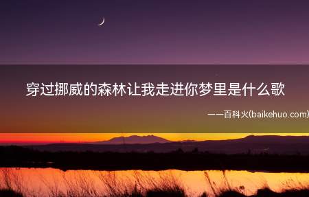 穿过挪威的森林让我走进你梦里是什么歌(《黑马王子》完整版歌词)