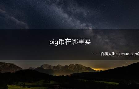 pig币在哪里买(别的新的动物币大多数在BSC火币网智能化链上开展)