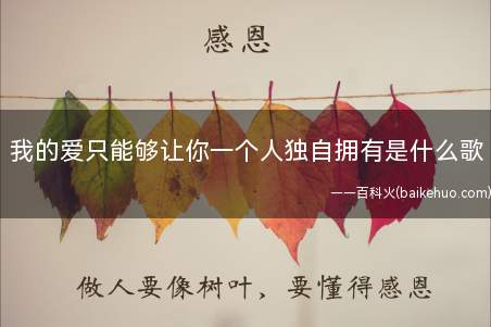 我的爱只能够让你一个人独自拥有是什么歌（我的爱只能够让你一个人独自拥有,我的灵和魂魄不停守候在你心门）