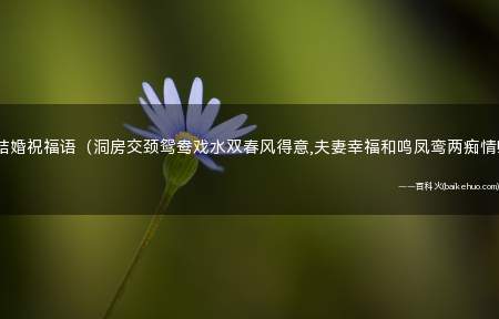 结婚祝福语(洞房交颈鸳鸯戏水双春风得意,夫妻幸福和鸣凤鸾两痴情!)