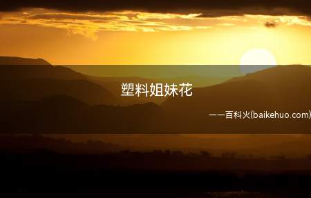 塑料姐妹花是什么梗(心机女,故意穿的比我漂亮出去撩男人吗)