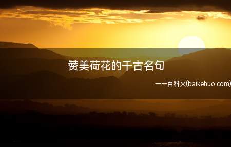 赞美荷花的千古名句（荷叶五寸荷花娇,贴波不碍画船摇）