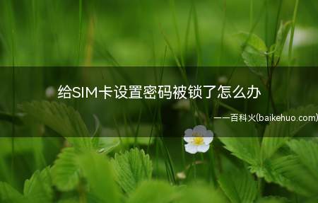 给SIM卡设置密码被锁了怎么办（给SIM卡设置密码被锁了该怎么办?）