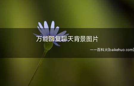 万能回复聊天背景图片(万能回复聊天背景图片万能聊天回复话术)