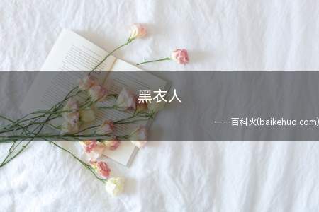黑衣人是什么梗(香港机场工作无法正常进行,取消大量航班,关闭离港出口)