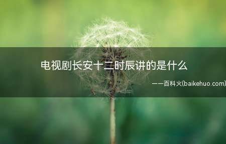 电视剧长安十二时辰讲的是什么(电视连续剧长安十二时辰讲的是啥)