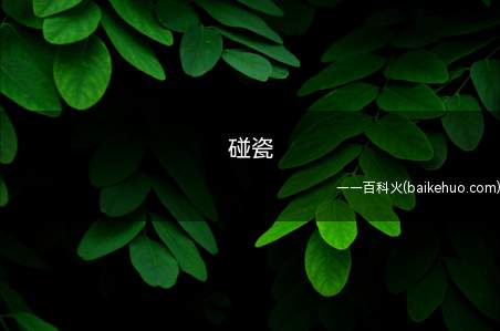 碰瓷是什么梗(小学生扶老奶奶不安全,宠物狗都有可能被碰瓷)