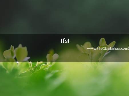 lfsl是什么意思(北京时代俊峰文化艺术发展有限公司的负责人)