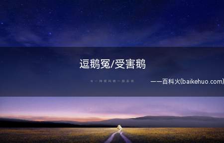 逗鹅冤/受害鹅是什么意思(逗鹅冤/受害鹅是什么梗 腾讯:一言难尽~支付宝:希望天下无假)