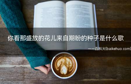 你看那盛放的花儿来自期盼的种子是什么歌(你看那盛放的花儿来自期盼的种子是什么歌 《和光同尘》详细歌曲)
