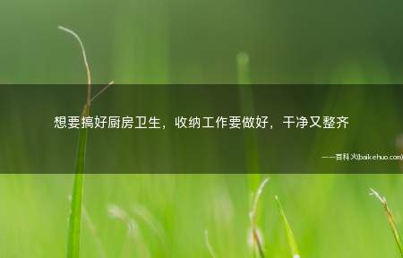 想要搞好厨房卫生,收纳工作要做好,干净又整齐