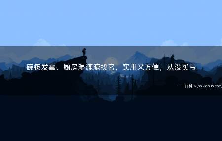 碗筷发霉、厨房湿漉漉找它,实用又方便,从没买亏