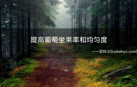 提高葡萄坐果率和均匀度(葡萄的坐果率下降间接原因)